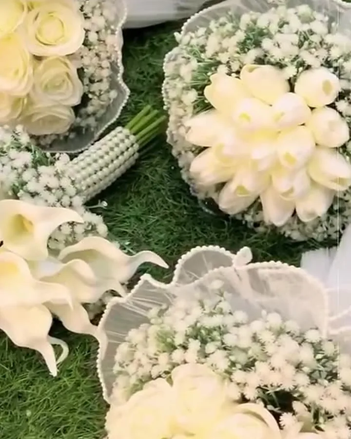 مسكات عروس جوري أبيض مع جبسوفيل